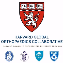 Harvard Global Orthopaedics Collaborative