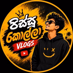 පිස්සු කොල්ලා vlogs