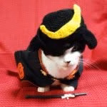 She