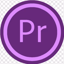 Premiere Pro Project ( Wedding Video Solution )