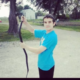 Jay's Reptiles