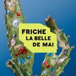 Friche la Belle de Mai