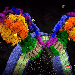 Smart Biology