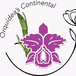 Orquidea's Continental