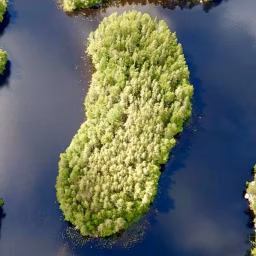 Off Grid Island