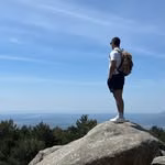 My Brushes, Art Process & Book! ⬇️