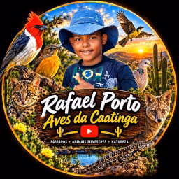 RAFAEL PORTO( AVES DA CAATINGA)