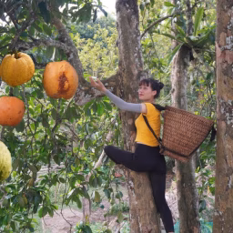 Duong Daily Life