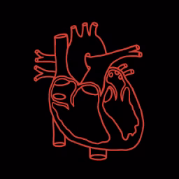 Structural Heart Disease Australia
