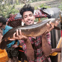 PALA FISHING MAFIA