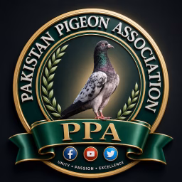 Pakistan Pigeon Association Official