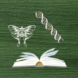 Explorations in Biology, Evolution, and More
