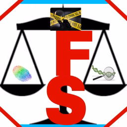 Forensic Search