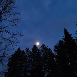 milesfromthemoon