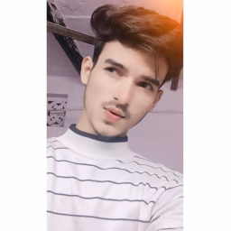 Performer vinay