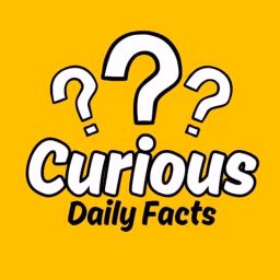 Curious Dailyfacts