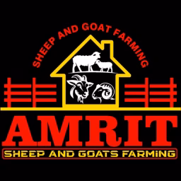 Amrit Sheep And Goats Farming