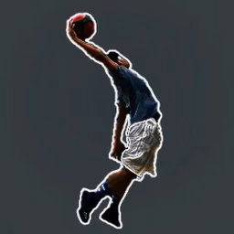 Darwin Dunks