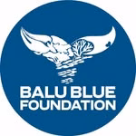 Balu Blue Foundation