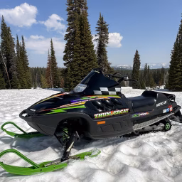 Old School Arctic Cats