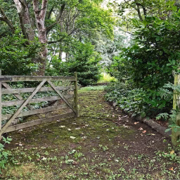 The Quarry Gardener