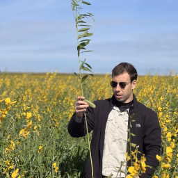 Caetano  🇧🇷 (Agricultura Regenerativa)