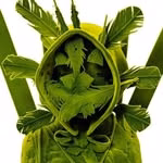Represented by: Galerie Forsblom, Jason Jacques Gallery, Galerie NeC, Rademakers Gallery, Alzueta Gallery, Hostler