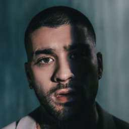 ZAYN - Topic