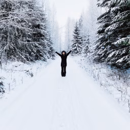 Finlandia Diaries