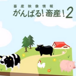 がんばる畜産