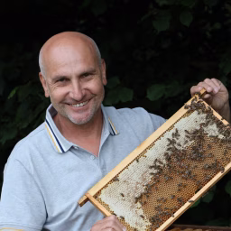 Imkerei Michael Ullmann
