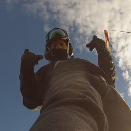 Fly-guy Alberta