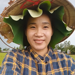 THAO MIỀN TÂY DAILY VLOG CHINA