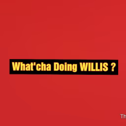 What'cha Doing Willis?