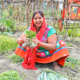 Anita Ji Ka Kitchen ‎‎‎