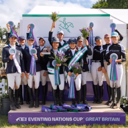 Bicton arena