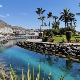 Life in Gran Canaria