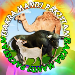 Bakra Mandi Pakistan Official