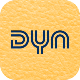 Dyn Volleyball