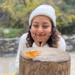 Fer de Font