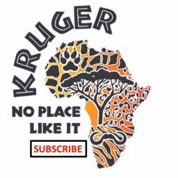 Kruger - No Place Like it