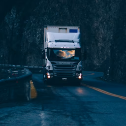 Serbian Truck Driver
