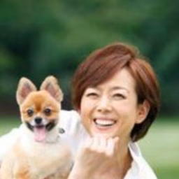 秋本奈緒美