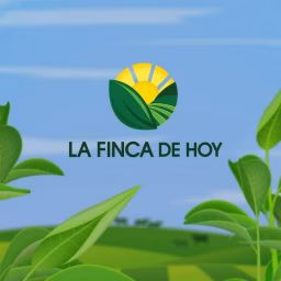 La Finca de Hoy caracol