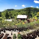 Windy Hill Farm Inc.