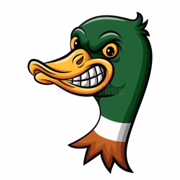 Pato Racing Team