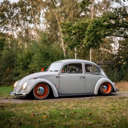 Hildegard the bug