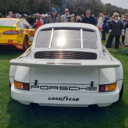The Porsche Pro