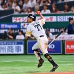 山本恵大