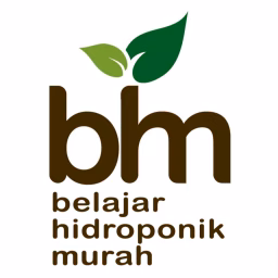 Belajar Hidroponik Murah